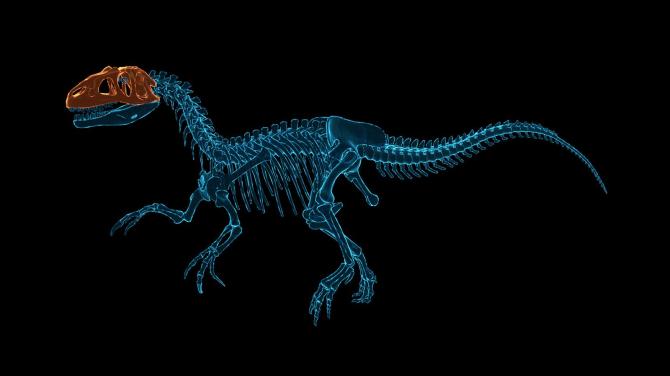 Dinosaur Fossil Hunter 