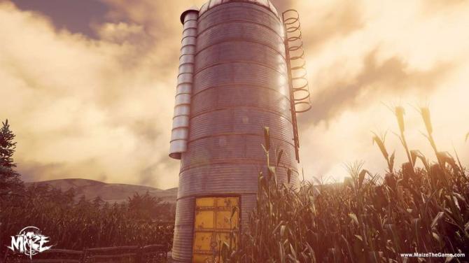 Maize 