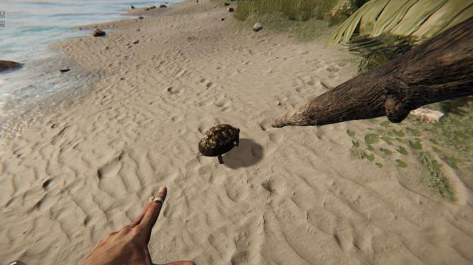 Project Castaway 