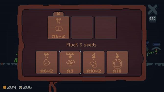 Seedrun 