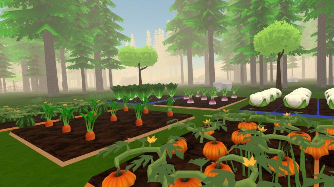 Forest Farm 