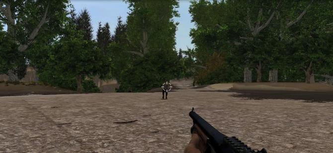 Explore the forest Kill!!! 