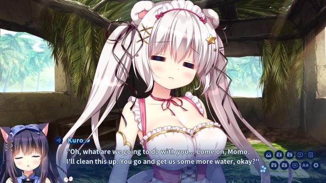 Island Diary 