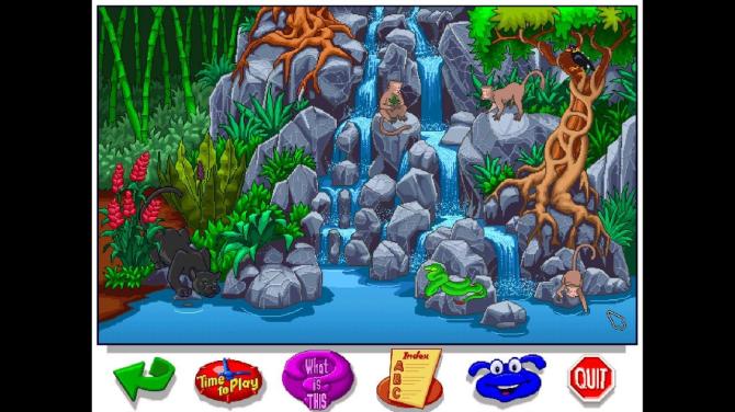 Let's Explore the Jungle (Junior Field Trips) 