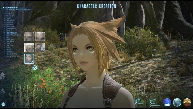 Final Fantasy XIV: A Realm Reborn Collector's Edition EU Digital Download CD Key 