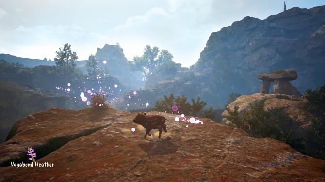 Adorable Adventures 