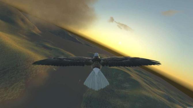 Aquila Bird Flight Simulator 