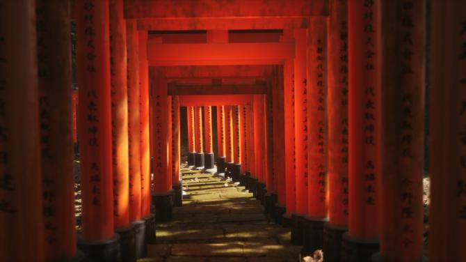 Lushfoil Photography Sim 