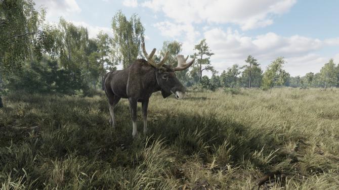 On the Hunt 