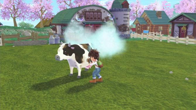 Story of Seasons: A Wonderful Life 