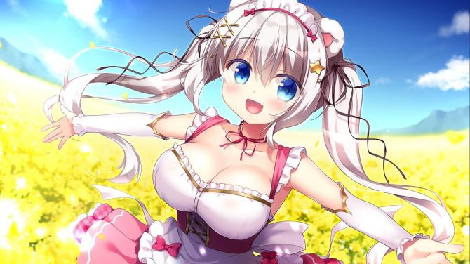 Island Diary 