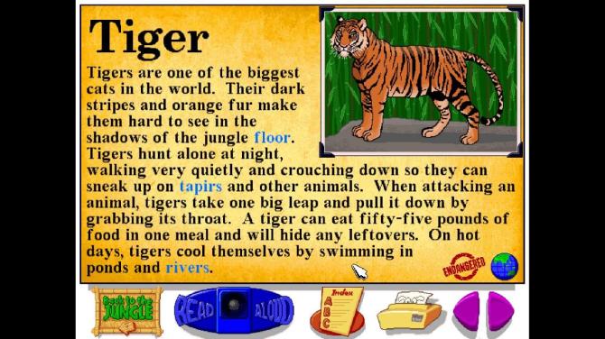 Let's Explore the Jungle (Junior Field Trips) 