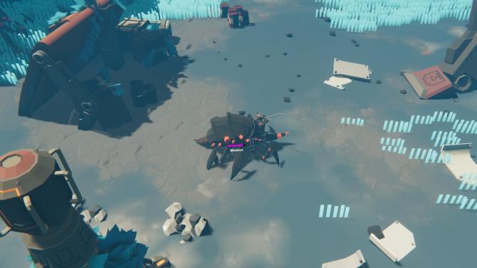 Wild Planet 