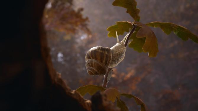 Empire of the Ants US Xbox Series X|S CD Key 