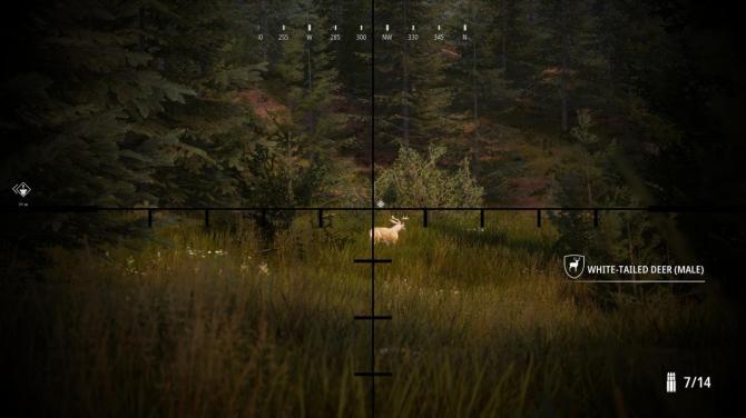 Hunting Simulator 2 