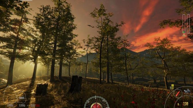 Forest Ranger Simulator 