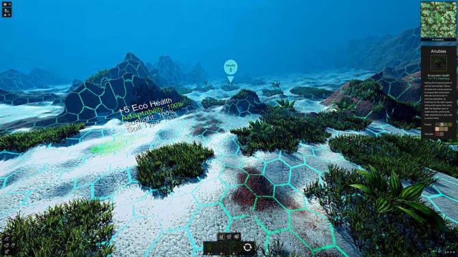 Ecosystem 