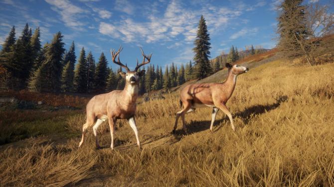 theHunter: Call of the Wild - Ultimate Starter Bundle 