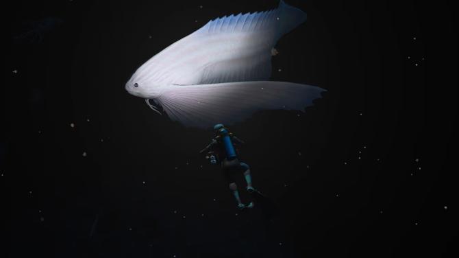 Endless Ocean Luminous 