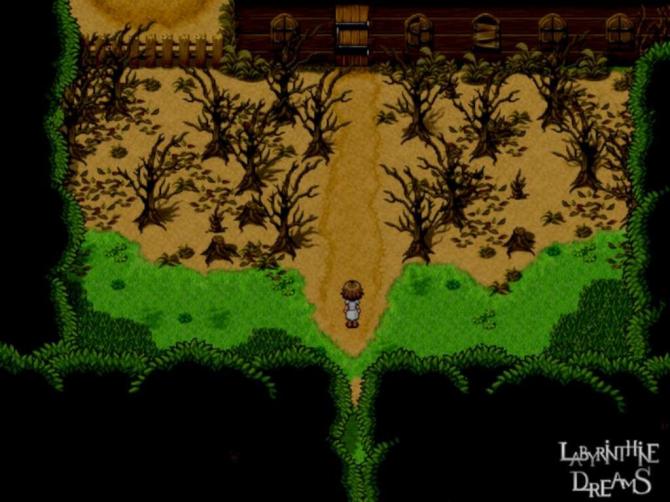 Labyrinthine Dreams 