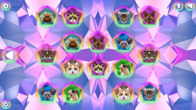 Poly Memory: Cats 