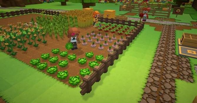 Staxel 