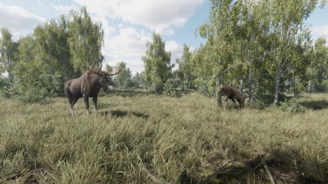 On the Hunt 