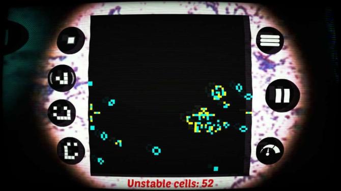 Bacteria 