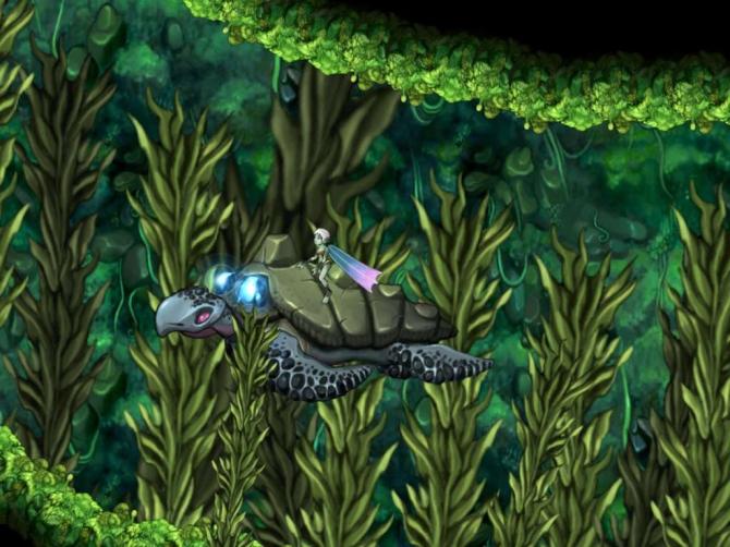 Aquaria 