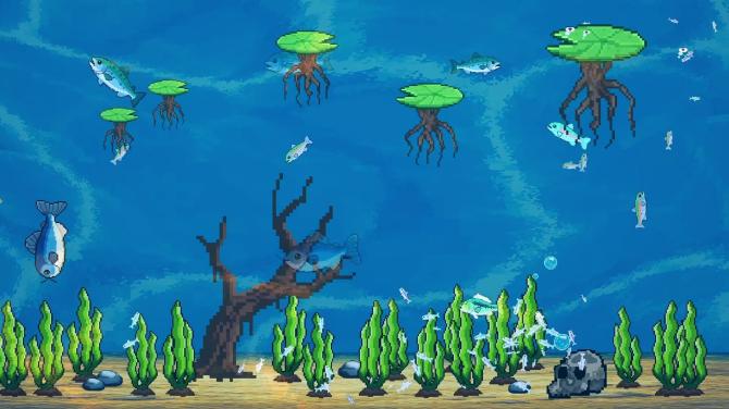 FishPond 