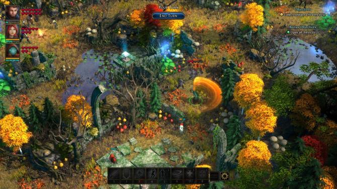 Druidstone: The Secret of the Menhir Forest 