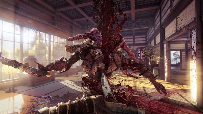 Shadow Warrior Collection 