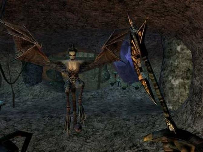 The Elder Scrolls III Morrowind GOTY 