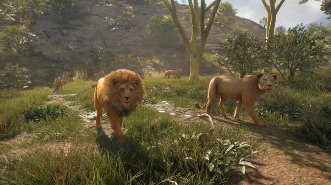 theHunter: Call of the Wild - 2019 Edition 