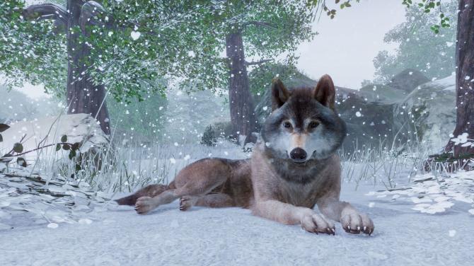 Planet Zoo 