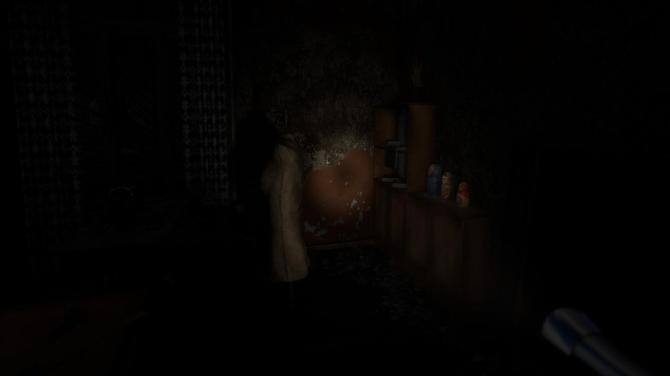 Firefly Shelter 