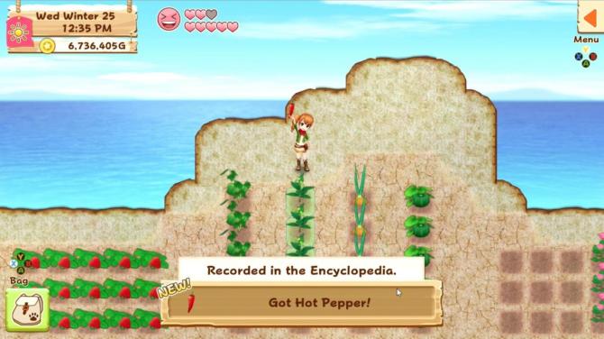 Harvest Moon: Light of Hope Special Edition 