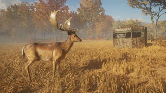 theHunter: Call of the Wild - Hunting Starter Pack Bundle EU XBOX One / Xbox Series X|S CD Key 