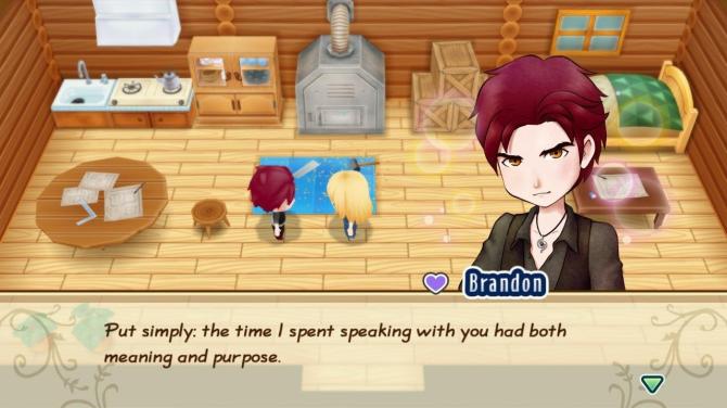 STORY OF SEASONS: Friends of Mineral Town 