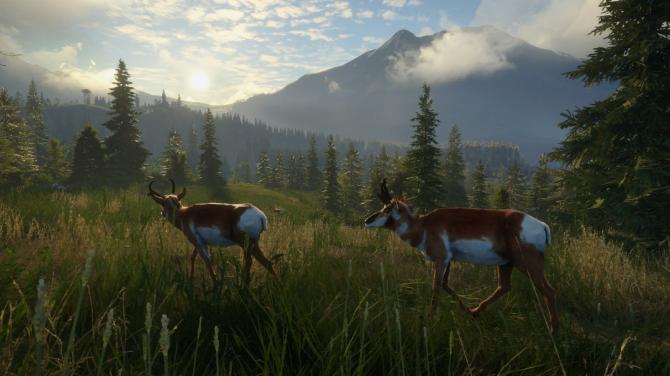 theHunter: Call of the Wild - Master Hunter Bundle 