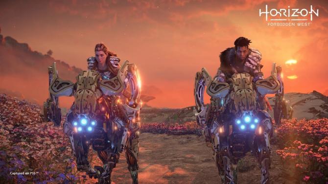 Horizon Forbidden West PS4/PS5 Access 