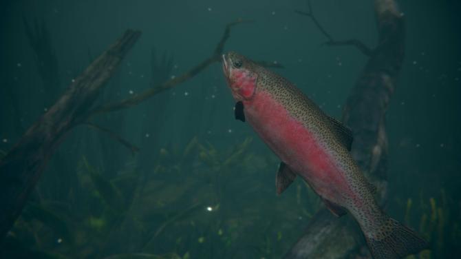 Ultimate Fishing Simulator 2 