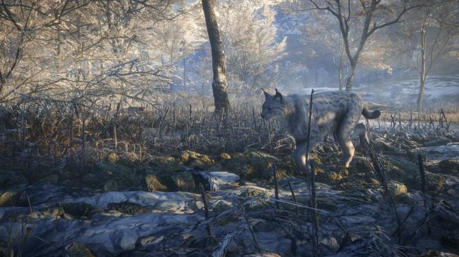theHunter: Call of the Wild Silver Bundle 