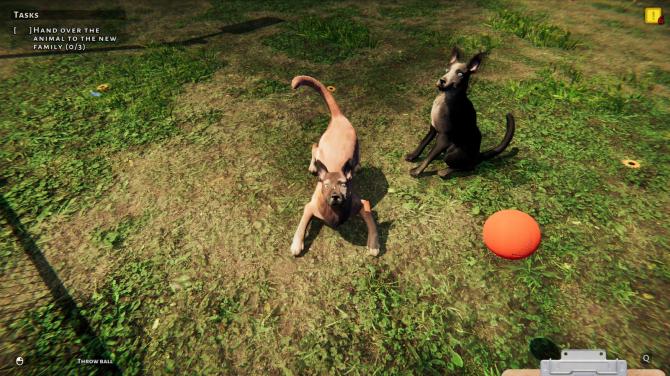 Animal Shelter Simulator EU XBOX One / Xbox Series X|S CD Key 