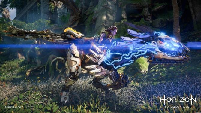 Horizon Forbidden West PS4/PS5 Access 