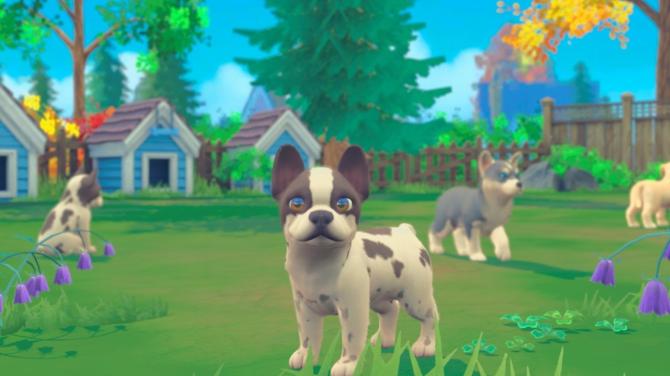 My Universe - Puppies & Kittens 
