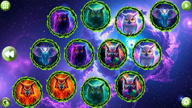 Space Memory: Owls 