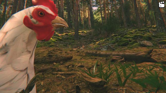 Catch the Chiken 