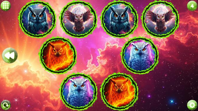 Space Memory: Owls 