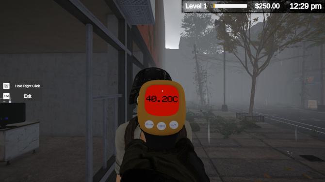 Quarantine Market Simulator 